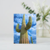 Saguaro cactus portret, Arizona Briefkaart (Staand voorkant)