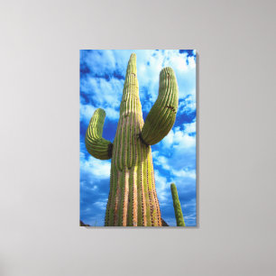 Saguaro cactus portret, Arizona Canvas Afdruk
