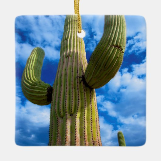 Saguaro cactus portret, Arizona Keramisch Ornament (Voorkant)