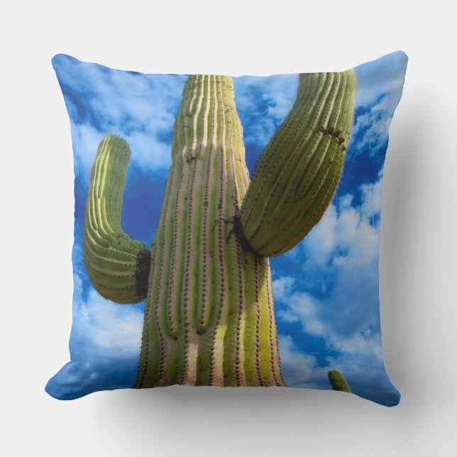 Saguaro cactus portret, Arizona Kussen (Voorkant)