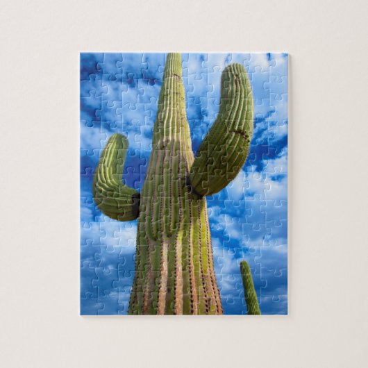 Saguaro cactus portret, Arizona Legpuzzel (Verticaal)