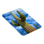 Saguaro cactus portret, Arizona Magneet (Rechterzijde)