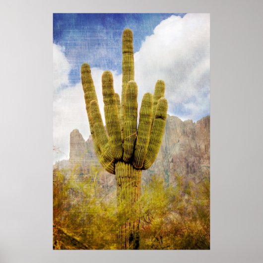 Saguaro Cactus Poster (Voorkant)