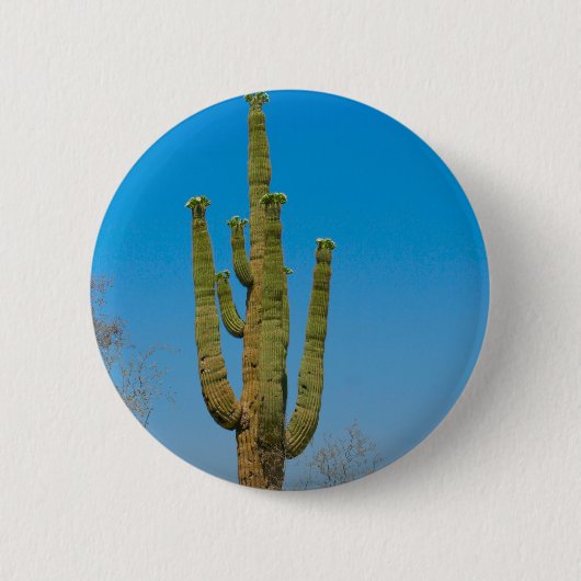 Saguaro Cactus Ronde Button 5,7 Cm (Voorkant)