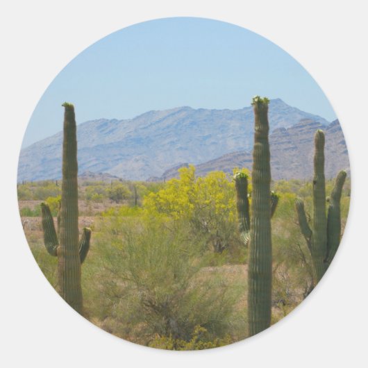 Saguaro Cactus Ronde Sticker (Voorkant)