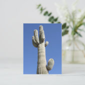 Saguaro Cactus, Scottsdale, Arizona Briefkaart (Staand voorkant)