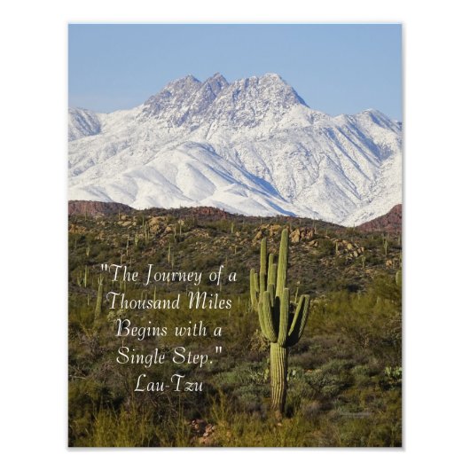 Saguaro Cactus Snow Capped Mountains Arizona USA Foto Afdruk (Voorkant)