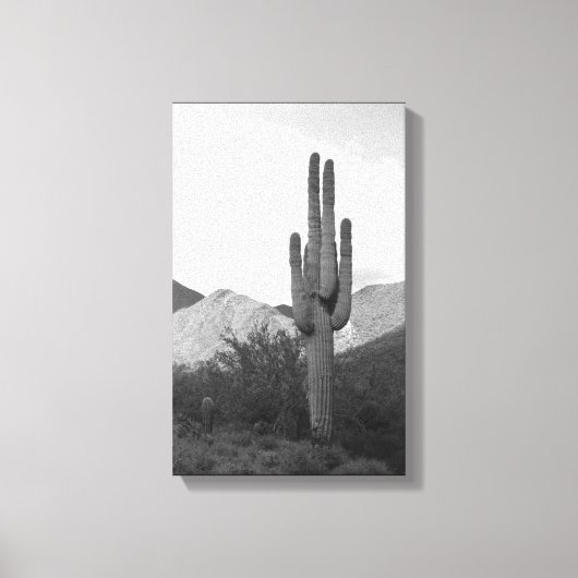 Saguaro Cactus Sonoran Desert B&W Foto afdrukken (Voorkant)