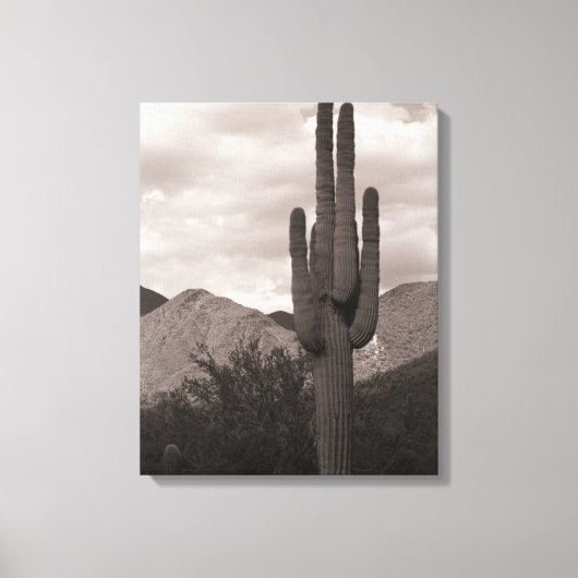 Saguaro Cactus Sonoran Desert B&W Foto afdrukken (Voorkant)