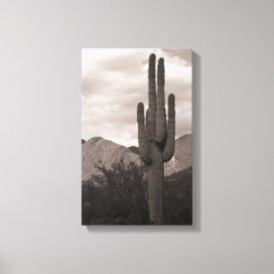 Saguaro Cactus Sonoran Desert B&W Foto print
