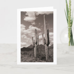 Saguaro Cactus Sonoran Desert Foto Wenskaart Kaart
