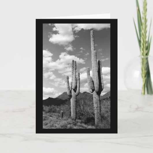 Saguaro Cactus Sonoran Desert Foto Wenskaarten Kaart (Voorkant)