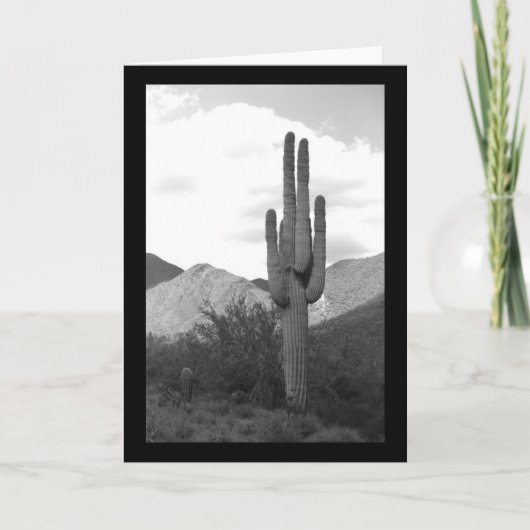 Saguaro Cactus Sonoran Desert Foto Wenskaarten Kaart (Voorkant)