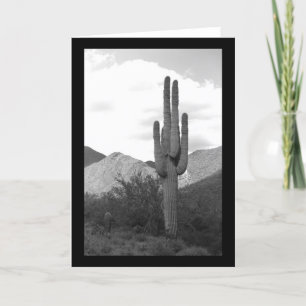 Saguaro Cactus Sonoran Desert Foto Wenskaarten Kaart