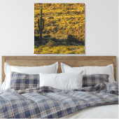 Saguaro Cactus Sonoran Desert in Springtime 24x24 Canvas Afdruk (Insitu (Slaapkamer))
