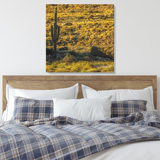 Saguaro Cactus Sonoran Desert in Springtime 24x24 Canvas Afdruk (Insitu (Slaapkamer))