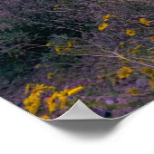 Saguaro Cactus Sunset Arizona Poster (Hoek)