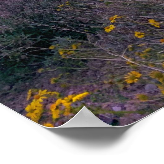 Saguaro Cactus Sunset Arizona Poster (Hoek)