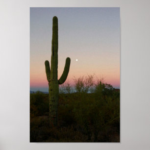 Saguaro Cactus Sunset Arizona Poster
