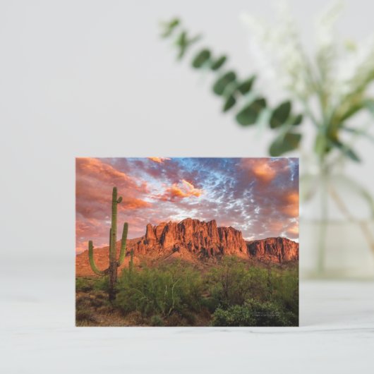 Saguaro Cactus Superstis Mountain Sunset Clouds Briefkaart (Staand voorkant)