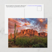 Saguaro Cactus Superstis Mountain Sunset Clouds Briefkaart (Voorkant / Achterkant)