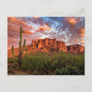 Saguaro Cactus Superstis Mountain Sunset Clouds Briefkaart