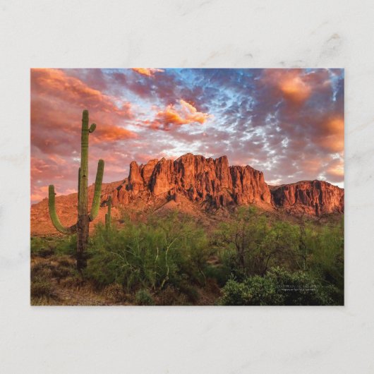 Saguaro Cactus Superstis Mountain Sunset Clouds Briefkaart (Voorkant)
