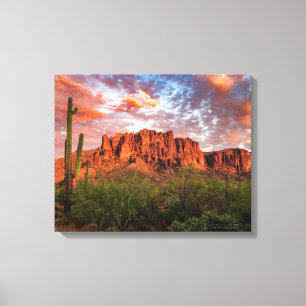 Saguaro Cactus Superstition Mountain Sunset 20x16 Canvas Afdruk