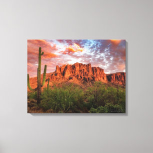 Saguaro Cactus Superstition Mountain Sunset 24x18 Canvas Afdruk