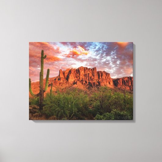 Saguaro Cactus Superstition Mountain Sunset 24x18 Canvas Afdruk (Voorkant)