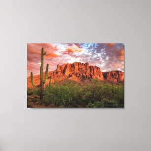 Saguaro Cactus Superstition Mountain Sunset 36x24 Canvas Afdruk