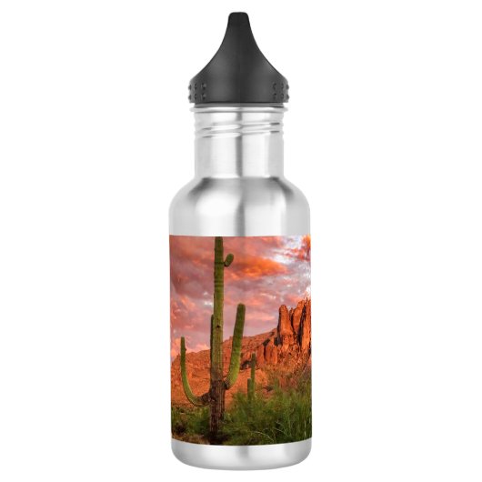 Saguaro Cactus Superstition Mountain Sunset Clouds Waterfles (Links)