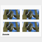 Saguaro Cactus Trio / Blue Sky & Clouds / Arizona Rechthoekige Sticker (Vel)