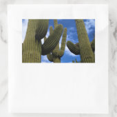 Saguaro Cactus Trio / Blue Sky & Clouds / Arizona Rechthoekige Sticker (Tas)