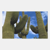 Saguaro Cactus Trio / Blue Sky & Clouds / Arizona Rechthoekige Sticker (Voorkant)