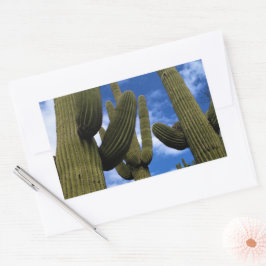 Saguaro Cactus Trio / Blue Sky & Clouds / Arizona Rechthoekige Sticker