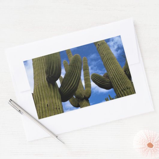 Saguaro Cactus Trio / Blue Sky & Clouds / Arizona Rechthoekige Sticker (Envelop)