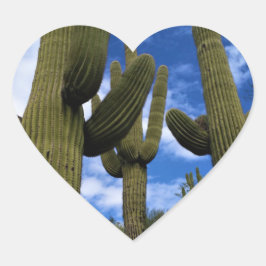 Saguaro Cactus Trio / Blue Sky / Envelope Seals Hart Sticker
