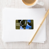 Saguaro Cactus Trio / Blue Sky & Wolken / adres Etiket (Insitu)