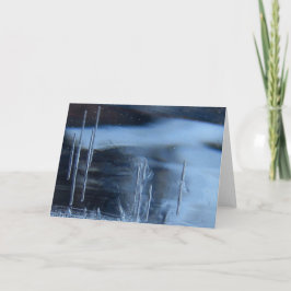 Saguaro Cactus Vision Quest, Esoteric Nature Kaart