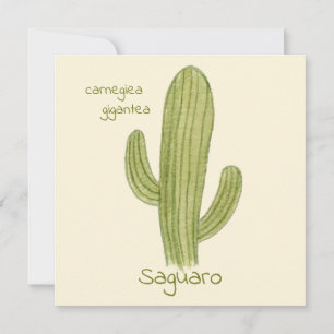 Saguaro Cactus wenskaart Kaart