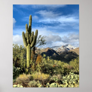 Saguaro Cactus Winter Arizona Poster