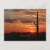 Saguaro Cactus, zonsondergang, Briefkaart (Voorkant)