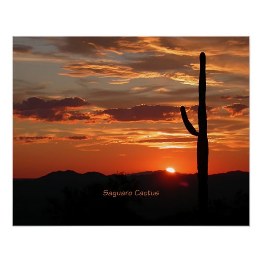 Saguaro Cactus, zonsondergang, Perfect Poster (Voorkant)