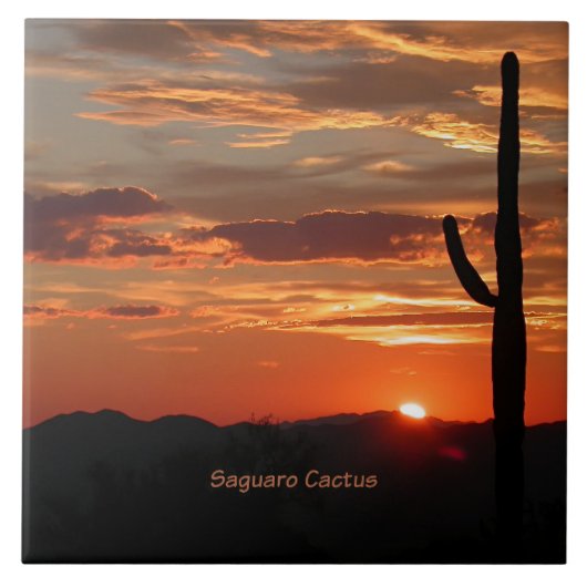 Saguaro Cactus, zonsondergang, Tegeltje (Voorkant)