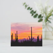 Saguaro Cactusbos bij zonsondergang Briefkaart (Staand voorkant)