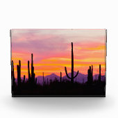 Saguaro Cactusbos bij zonsondergang Fotoblokken (Voorkant)