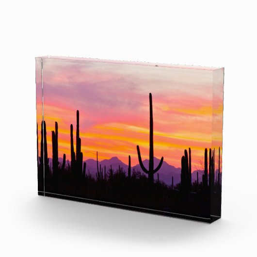 Saguaro Cactusbos bij zonsondergang Fotoblokken (Rechts)