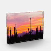 Saguaro Cactusbos bij zonsondergang Fotoblokken (Links)