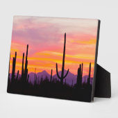 Saguaro Cactusbos bij zonsondergang Fotoplaat (Zijkant)